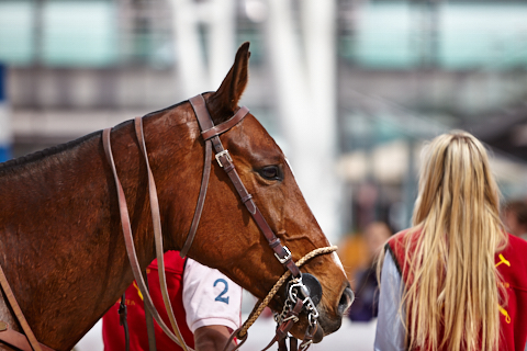 22.04.2018 - OTTO - The Polo Sand Arena mit Ottosport im Flughafen München