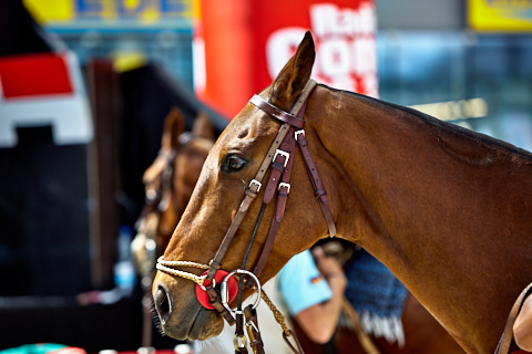 22.04.2018 - OTTO - The Polo Sand Arena mit Ottosport im Flughafen München