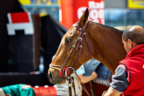 22.04.2018 - OTTO - The Polo Sand Arena mit Ottosport im Flughafen München