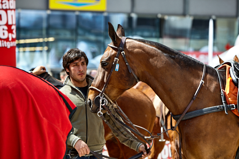 22.04.2018 - OTTO - The Polo Sand Arena mit Ottosport im Flughafen München