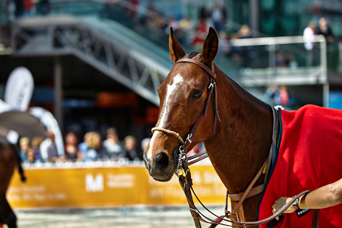 22.04.2018 - OTTO - The Polo Sand Arena mit Ottosport im Flughafen München