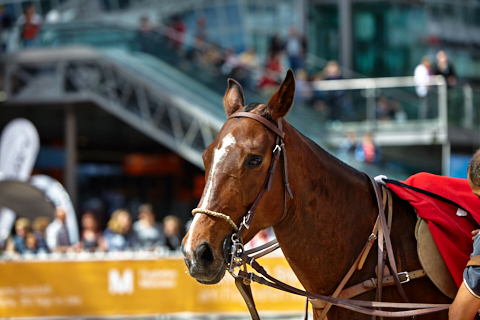22.04.2018 - OTTO - The Polo Sand Arena mit Ottosport im Flughafen München