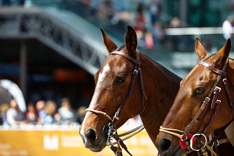 22.04.2018 - OTTO - The Polo Sand Arena mit Ottosport im Flughafen München