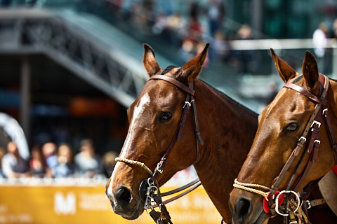 22.04.2018 - OTTO - The Polo Sand Arena mit Ottosport im Flughafen München
