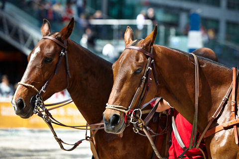 22.04.2018 - OTTO - The Polo Sand Arena mit Ottosport im Flughafen München