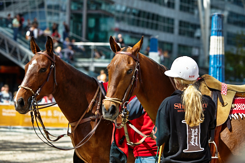 22.04.2018 - OTTO - The Polo Sand Arena mit Ottosport im Flughafen München