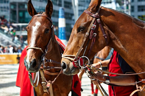 22.04.2018 - OTTO - The Polo Sand Arena mit Ottosport im Flughafen München